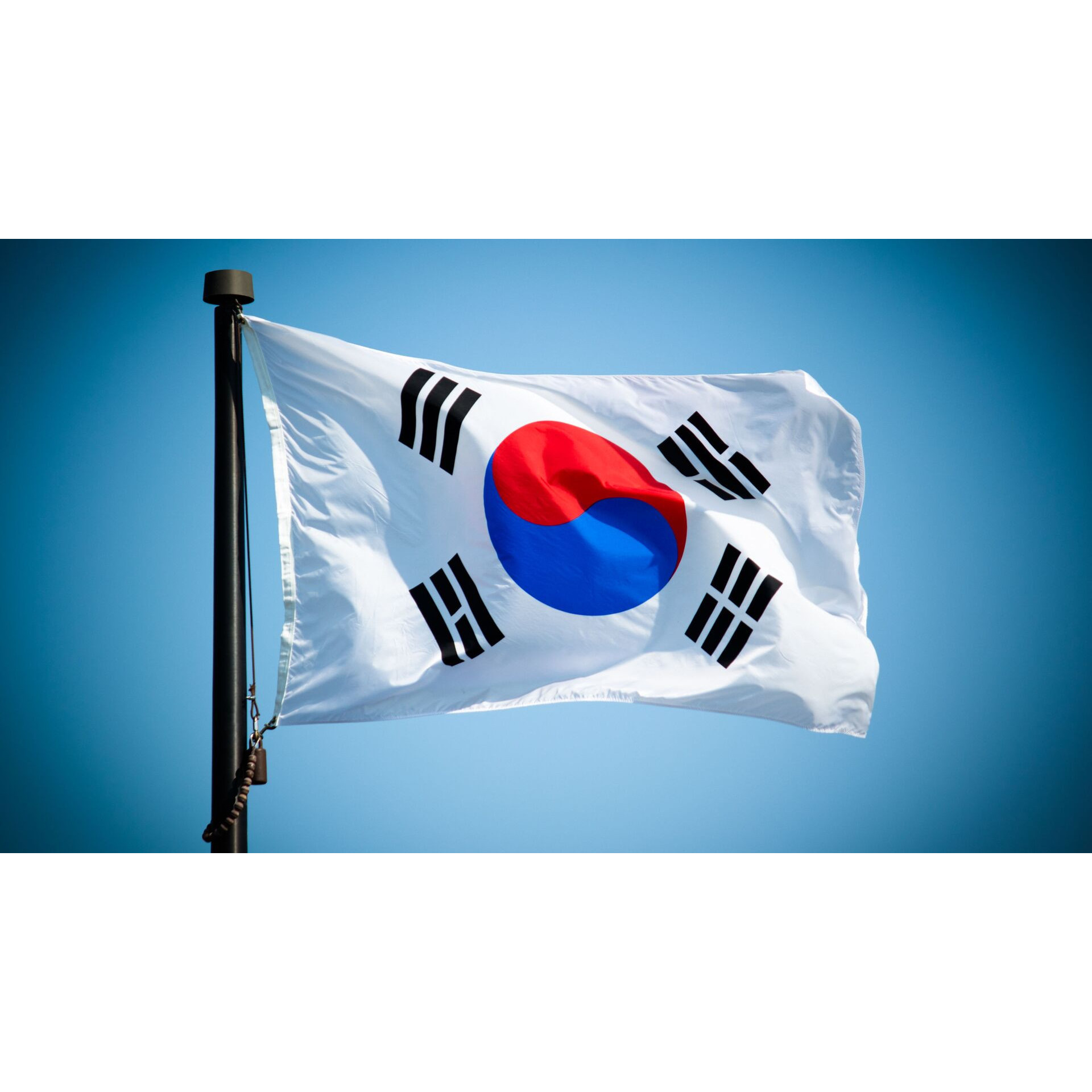 🇰🇷韓版TEREA、韓T - (IQOS ILUMA專用) 🇰🇷韓版TEREA、韓T - (IQOS ILUMA專用)